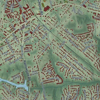Close-up of the map of Chester, Virginia print showing street and building detail