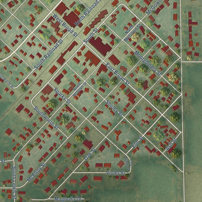 Close-up of the map of Raymond, Illinois print showing street and building detail