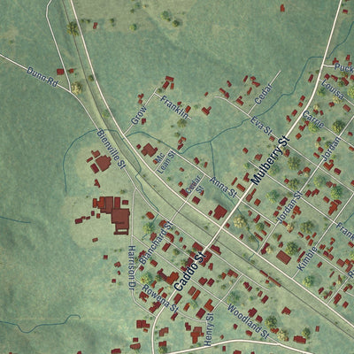 Close-up of the map of Montgomery, Louisiana print showing street and building detail