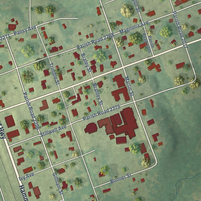 Close-up of the map of Hornbeck, Louisiana print showing street and building detail