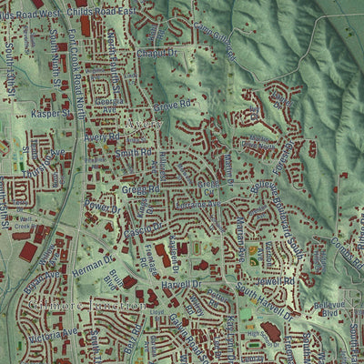 Close-up of the map of Bellevue, Nebraska print showing street and building detail