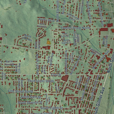Close-up of the map of Lanett, Alabama print showing street and building detail