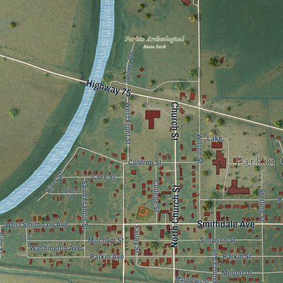 Close-up of the map of Parkin, Arkansas print showing street and building detail