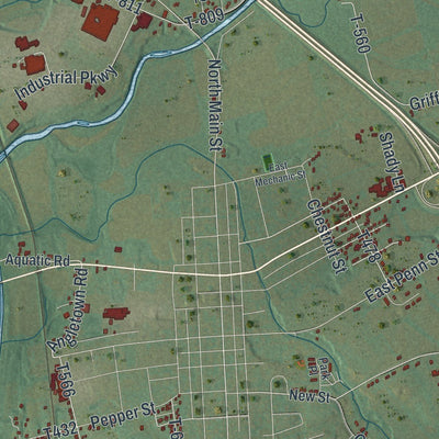 Close-up of the map of Muncy Creek, Pennsylvania print showing street and building detail
