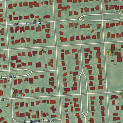 Close-up of the map of Biscayne Park, Florida print showing street and building detail