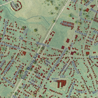 Close-up of the map of Homeland Park, South Carolina print showing street and building detail