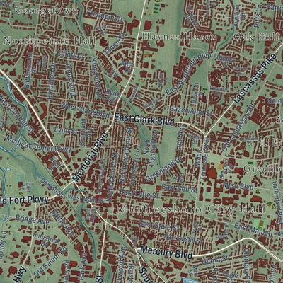 Close-up of the map of Murfreesboro, Tennessee print showing street and building detail