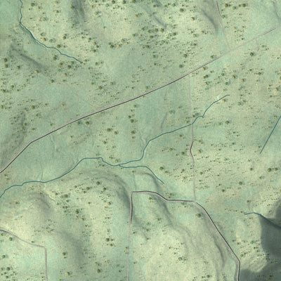 Close-up of the map of Canton, Bradford County, Pennsylvania print showing street and building detail