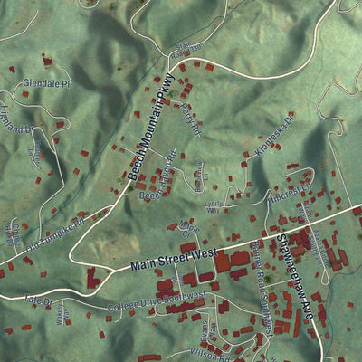 Close-up of the map of Banner Elk, North Carolina print showing street and building detail
