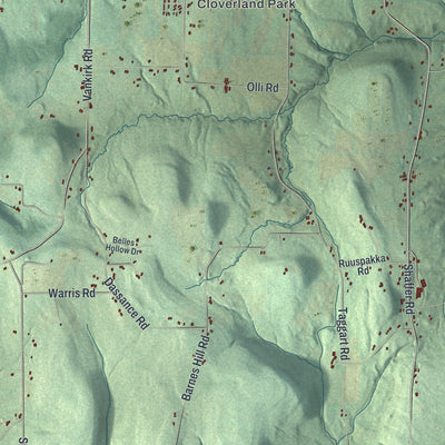 Close-up of the map of Newfield, New York print showing street and building detail