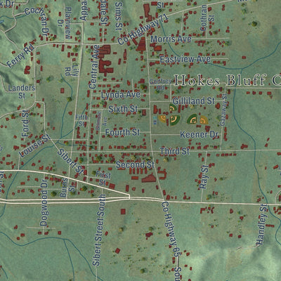 Close-up of the map of Hokes Bluff, Alabama print showing street and building detail