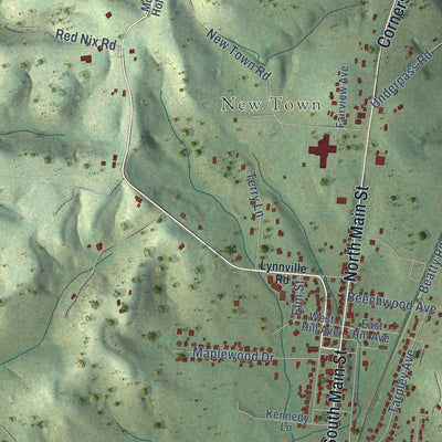 Close-up of the map of Cornersville, Tennessee print showing street and building detail