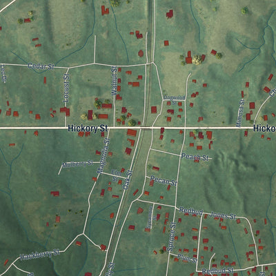 Close-up of the map of Oakland, Mississippi print showing street and building detail
