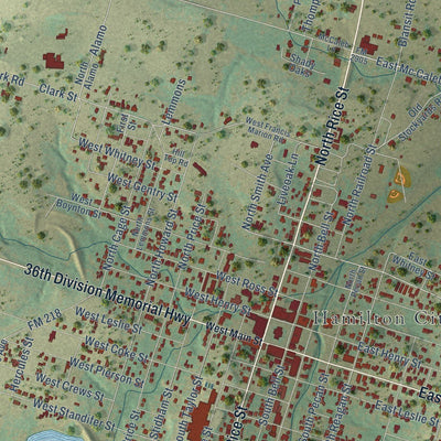 Close-up of the map of Hamilton, Texas print showing street and building detail