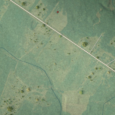 Close-up of the map of East Arcadia, North Carolina print showing street and building detail