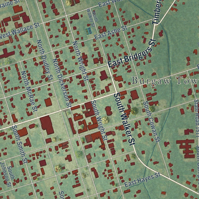 Close-up of the map of Burgaw, North Carolina print showing street and building detail