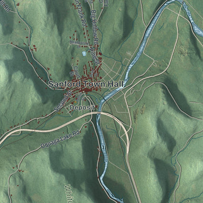 Close-up of the map of Sanford, New York print showing street and building detail