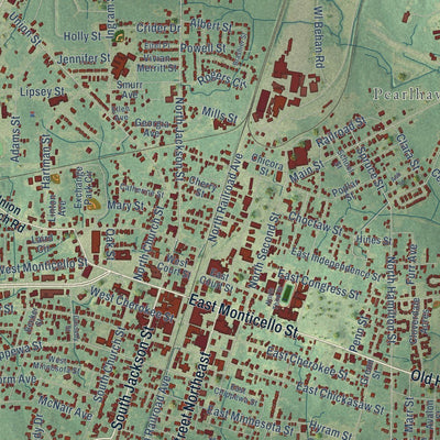 Close-up of the map of Brookhaven, Mississippi print showing street and building detail