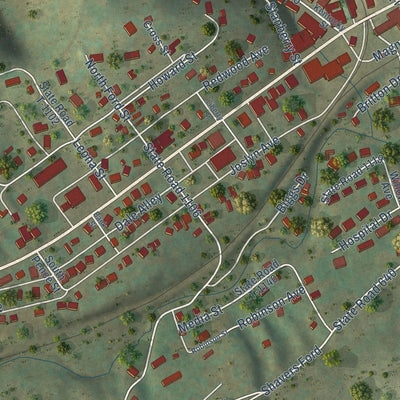 Close-up of the map of Pennington Gap, Virginia print showing street and building detail