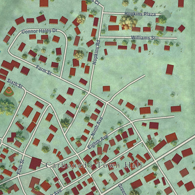 Close-up of the map of Carbonado, Washington print showing street and building detail