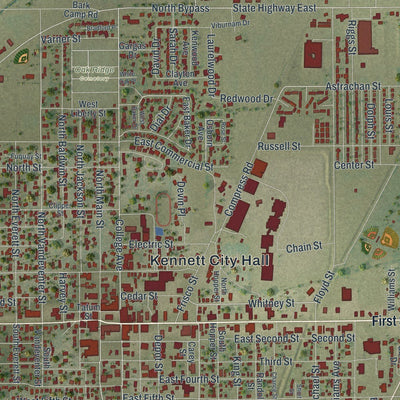 Close-up of the map of Kennett, Missouri print showing street and building detail