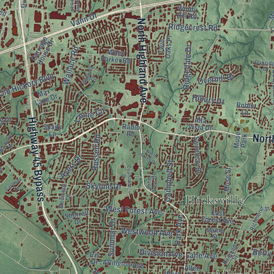 Close-up of the map of Jackson, Tennessee print showing street and building detail
