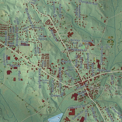 Close-up of the map of Winfield, Alabama print showing street and building detail