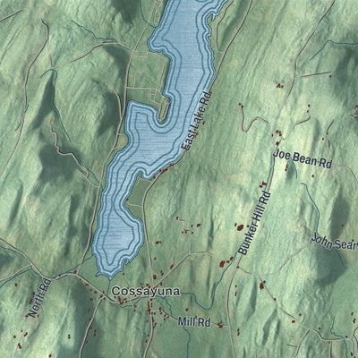 Close-up of the map of the Town of Greenwich, New York print showing street and building detail