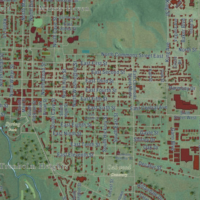Close-up of the map of Tuscumbia, Alabama print showing street and building detail