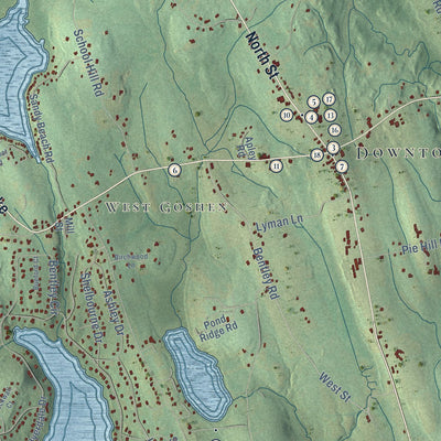Close-up of the map of Goshen, Connecticut print showing street and building detail