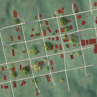 Close-up of the map of Arrow Rock, Missouri print showing street and building detail