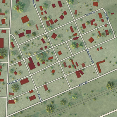 Close-up of the map of Bushnell, Nebraska print showing street and building detail