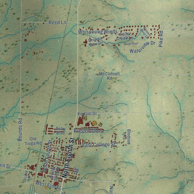 Close-up of the map of Gunter, Texas print showing street and building detail