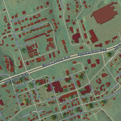 Close-up of the map of Jacksboro, Tennessee print showing street and building detail