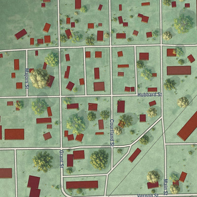 Close-up of the map of Trumbull, Nebraska print showing street and building detail
