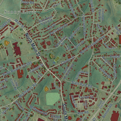 Close-up of the map of Travelers Rest, South Carolina print showing street and building detail