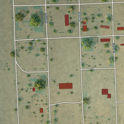 Close-up of the map of Two Buttes, Colorado print showing street and building detail