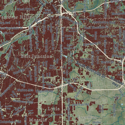 Close-up of the map of Fort Worth, Texas print showing street and building detail