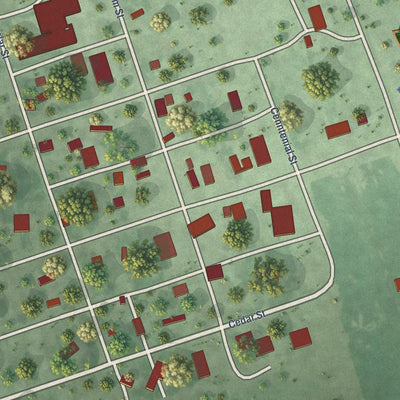 Close-up of the map of Hitchcock, South Dakota print showing street and building detail