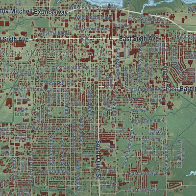 Close-up of the map of Pine Bluff, Arkansas print showing street and building detail