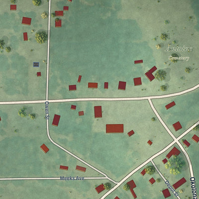 Close-up of the map of Antoine, Arkansas print showing street and building detail