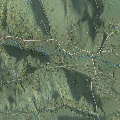 Close-up of the map of Braintree, Vermont print showing street and building detail