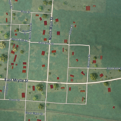 Close-up of the map of Buckner, Arkansas print showing street and building detail