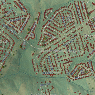Close-up of the map of Centerville, South Carolina print showing street and building detail