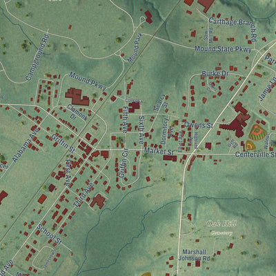 Close-up of the map of Moundville, Alabama print showing street and building detail
