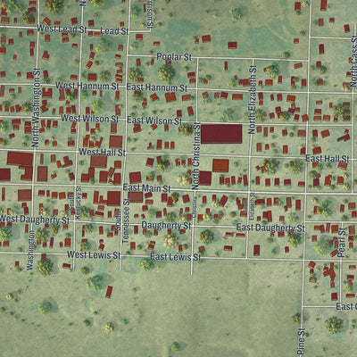 Close-up of the map of Carterville, Missouri print showing street and building detail