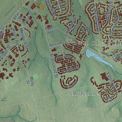 Close-up of the map of Spring Lake, North Carolina print showing street and building detail