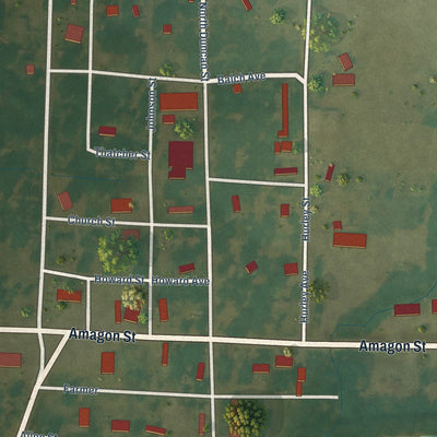 Close-up of the map of Amagon, Arkansas print showing street and building detail