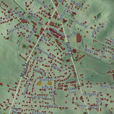 Close-up of the map of White Pine, Tennessee print showing street and building detail