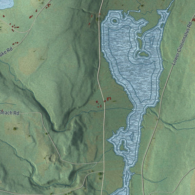 Close-up of the map of Cincinnatus, New York print showing street and building detail